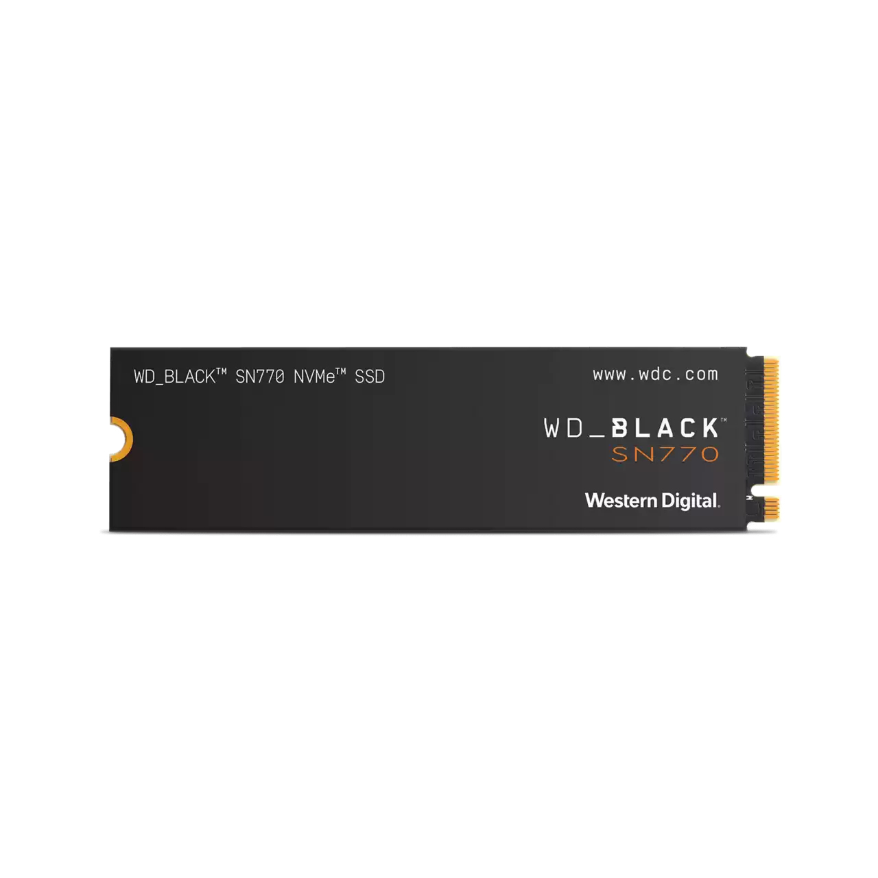 Disco Estado Solido WESTERN DIGITAL WDS100T3X0E